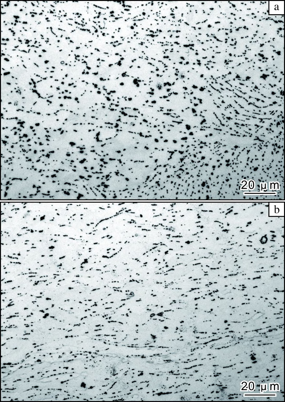 1787100316963739.jpg 1709634952147344.jpg