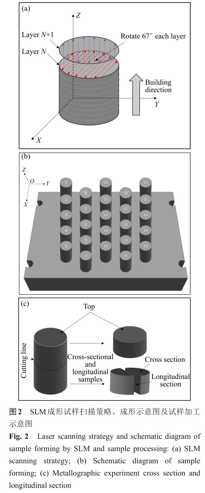 1787128098116185.jpg 1721808803195355.jpg
