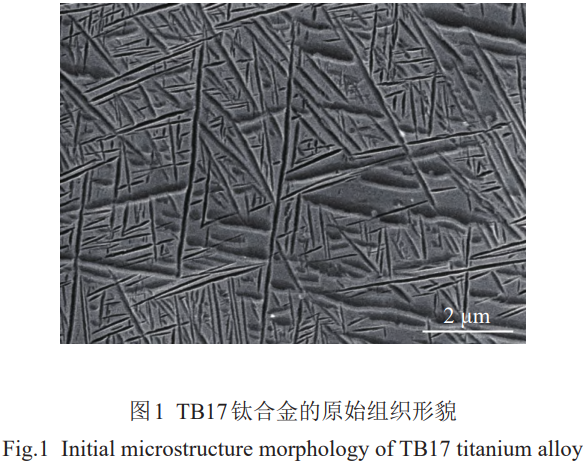 1787190113223334.png 1776758577637704.png